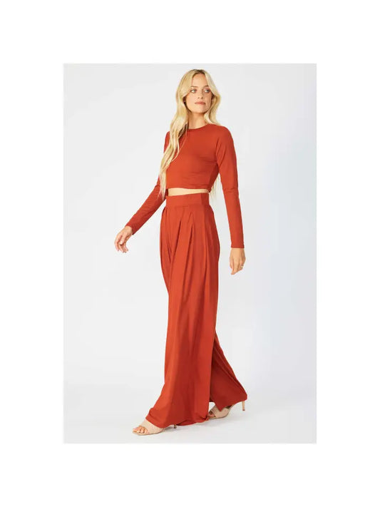Pleated Wide Leg Pants with Cropped Baby Tee Set